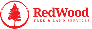 Redwood Tree and Land Services